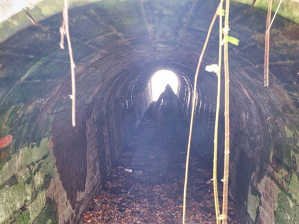 20220123160555-d9873220